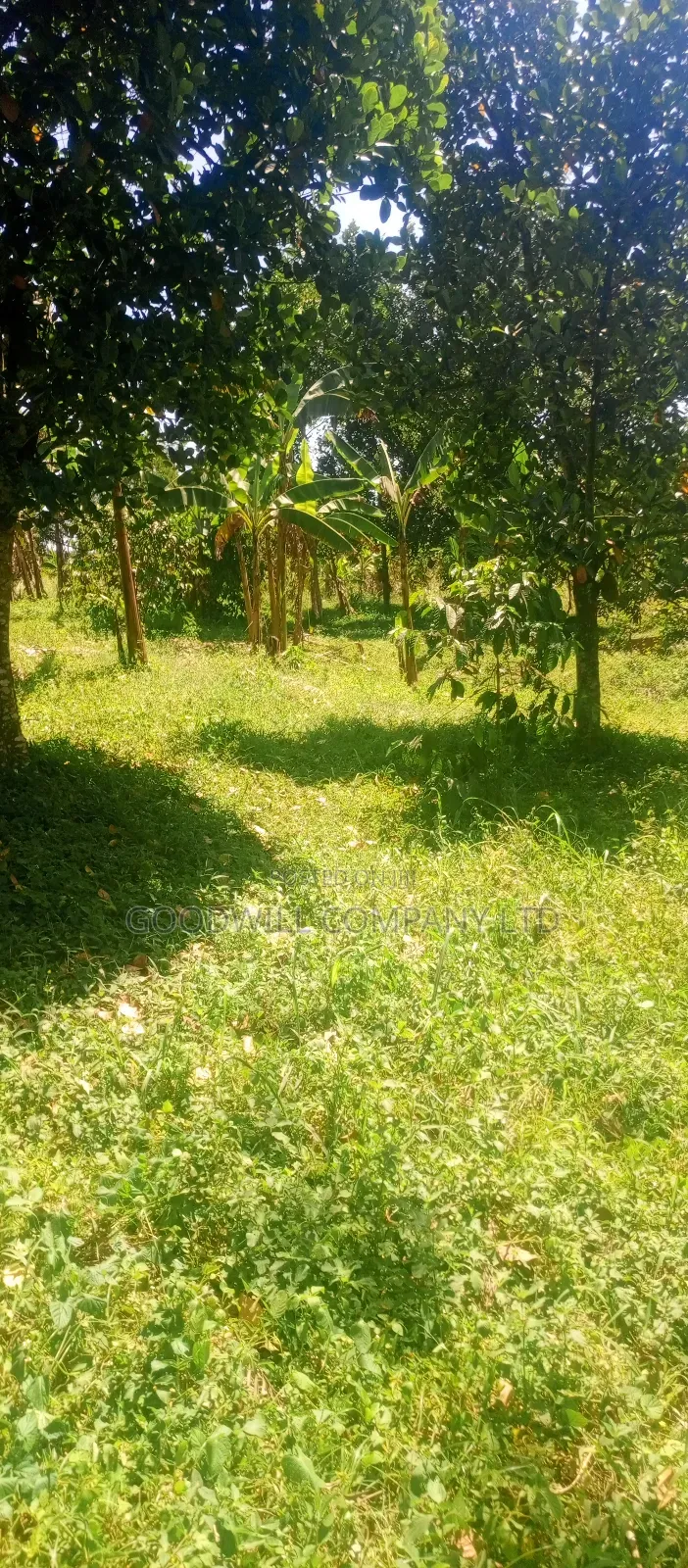 4 Acres of Land in Nakasaja Namengo Village