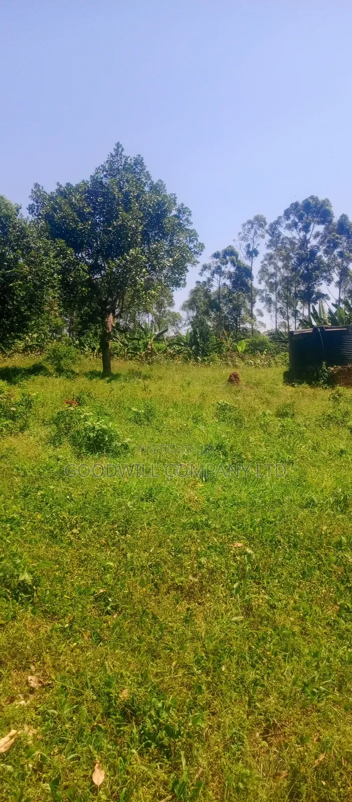 4 Acres of Land in Nakasaja Namengo Village