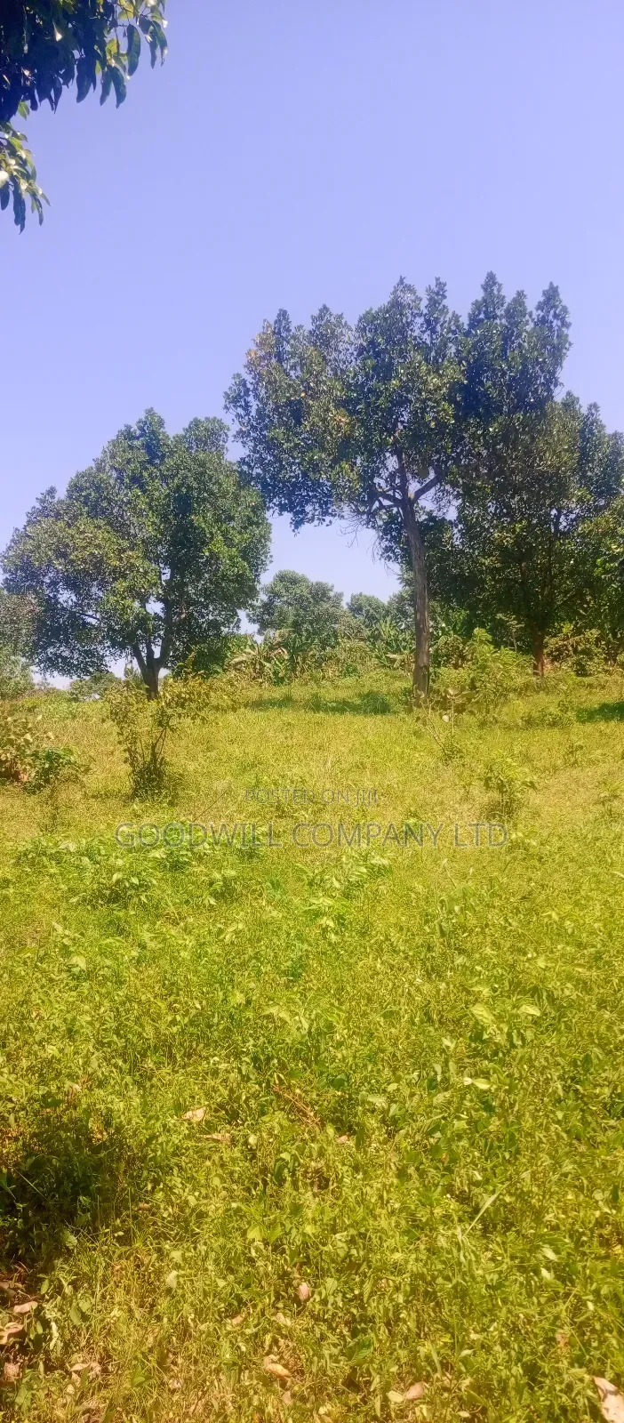 4 Acres of Land in Nakasaja Namengo Village