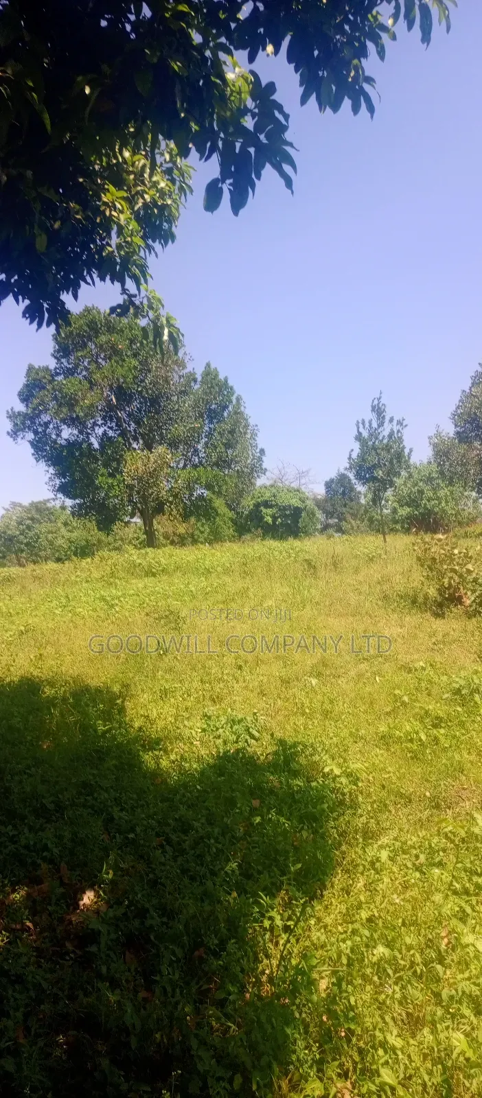 4 Acres of Land in Nakasaja Namengo Village