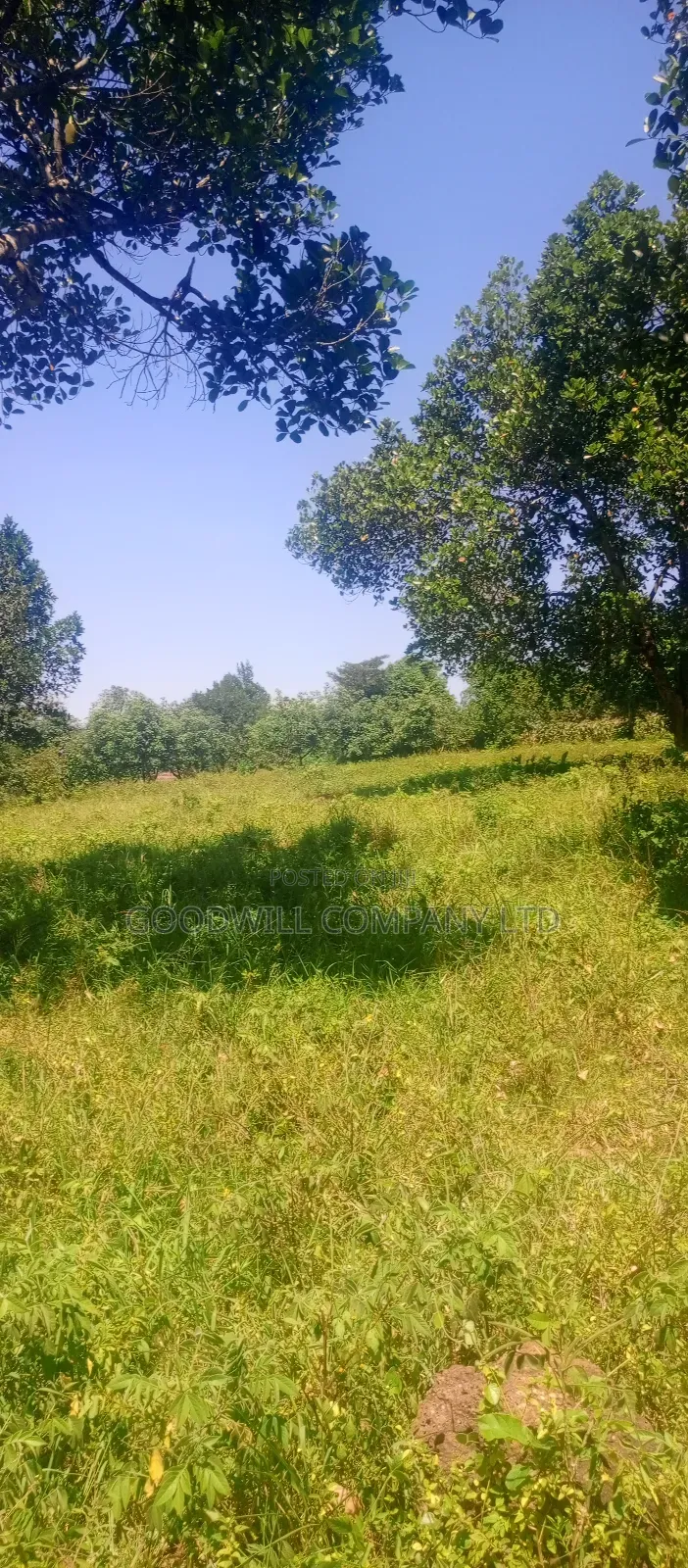 4 Acres of Land in Nakasaja Namengo Village