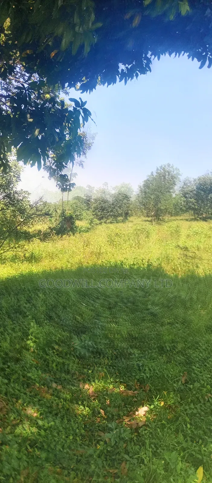 4 Acres of Land in Nakasaja Namengo Village