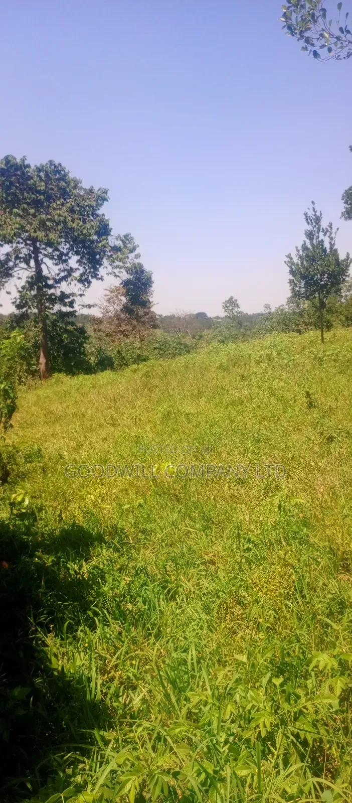 4 Acres of Land in Nakasaja Namengo Village