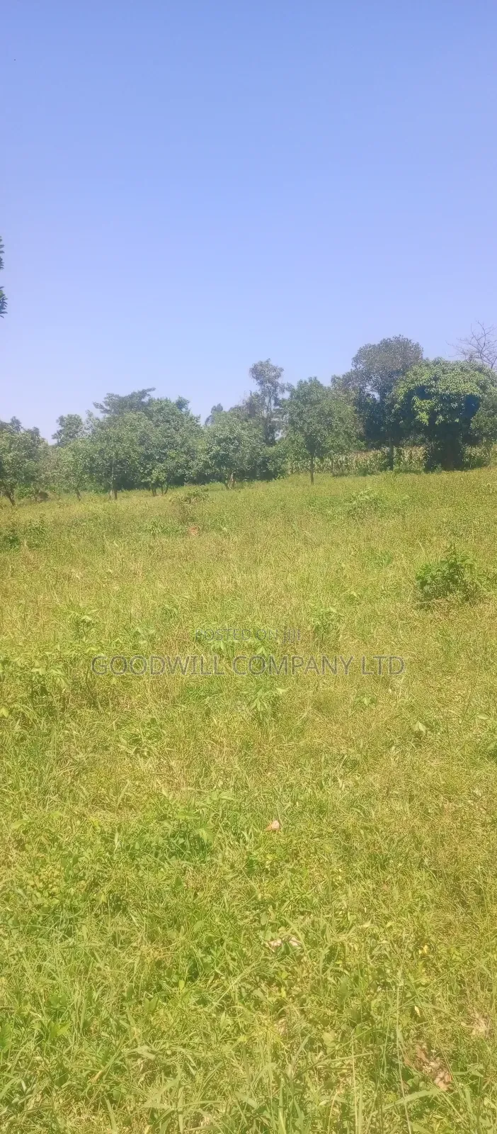 4 Acres of Land in Nakasaja Namengo Village