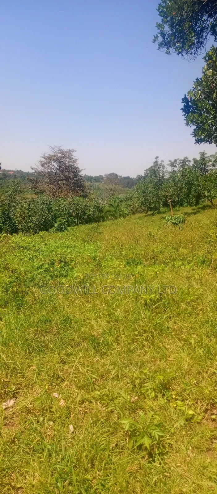 4 Acres of Land in Nakasaja Namengo Village