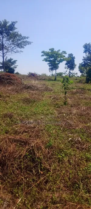 50*100 Kabaka 3plots in Kyabakade