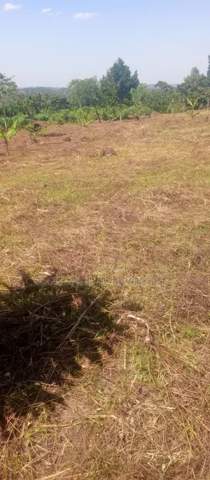 50*100 Kabaka 3plots in Kyabakade