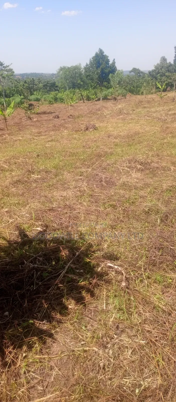 50*100 Kabaka 3plots in Kyabakade
