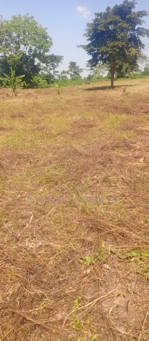 50*100 Kabaka 3plots in Kyabakade