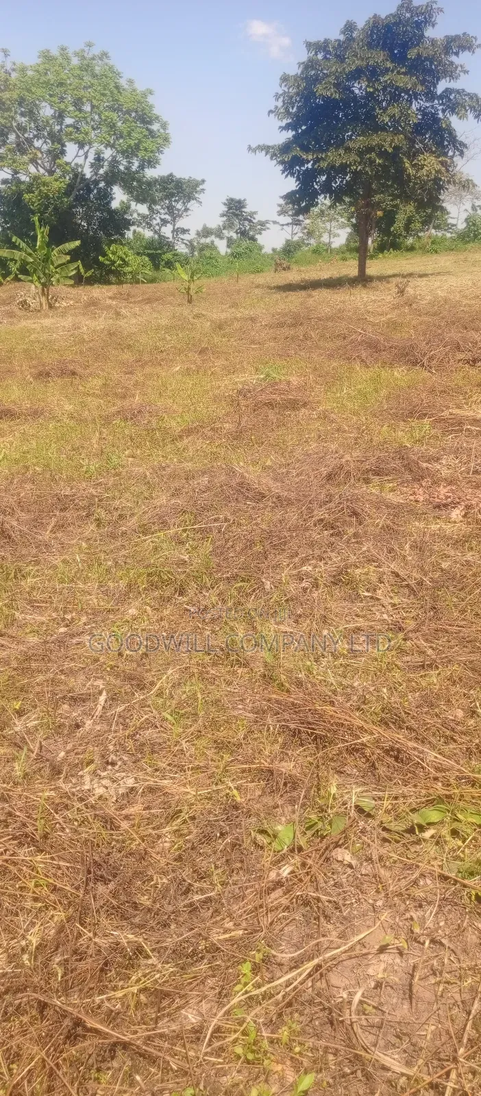 50*100 Kabaka 3plots in Kyabakade