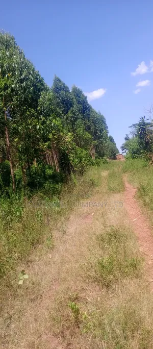 50*100 Plots in Namengo Kyabakade
