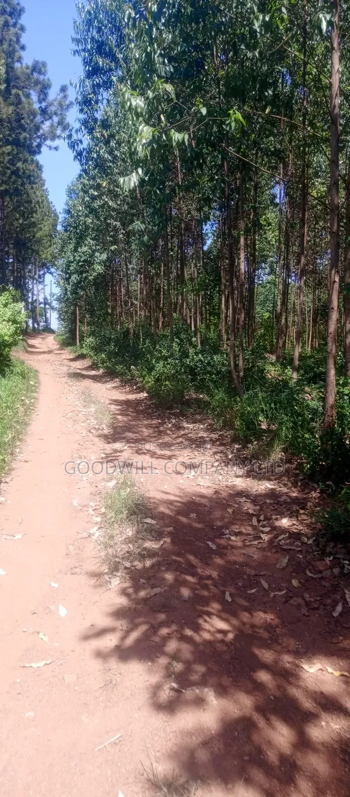 50*100 Plots in Namengo Kyabakade