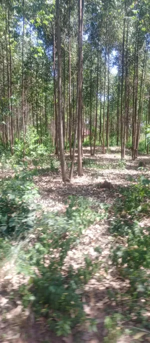 50*100 Plots in Namengo Kyabakade