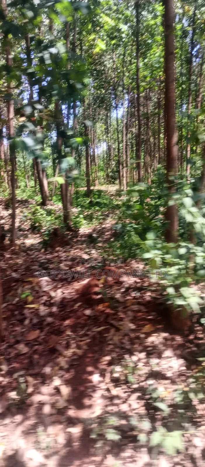 50*100 Plots in Namengo Kyabakade