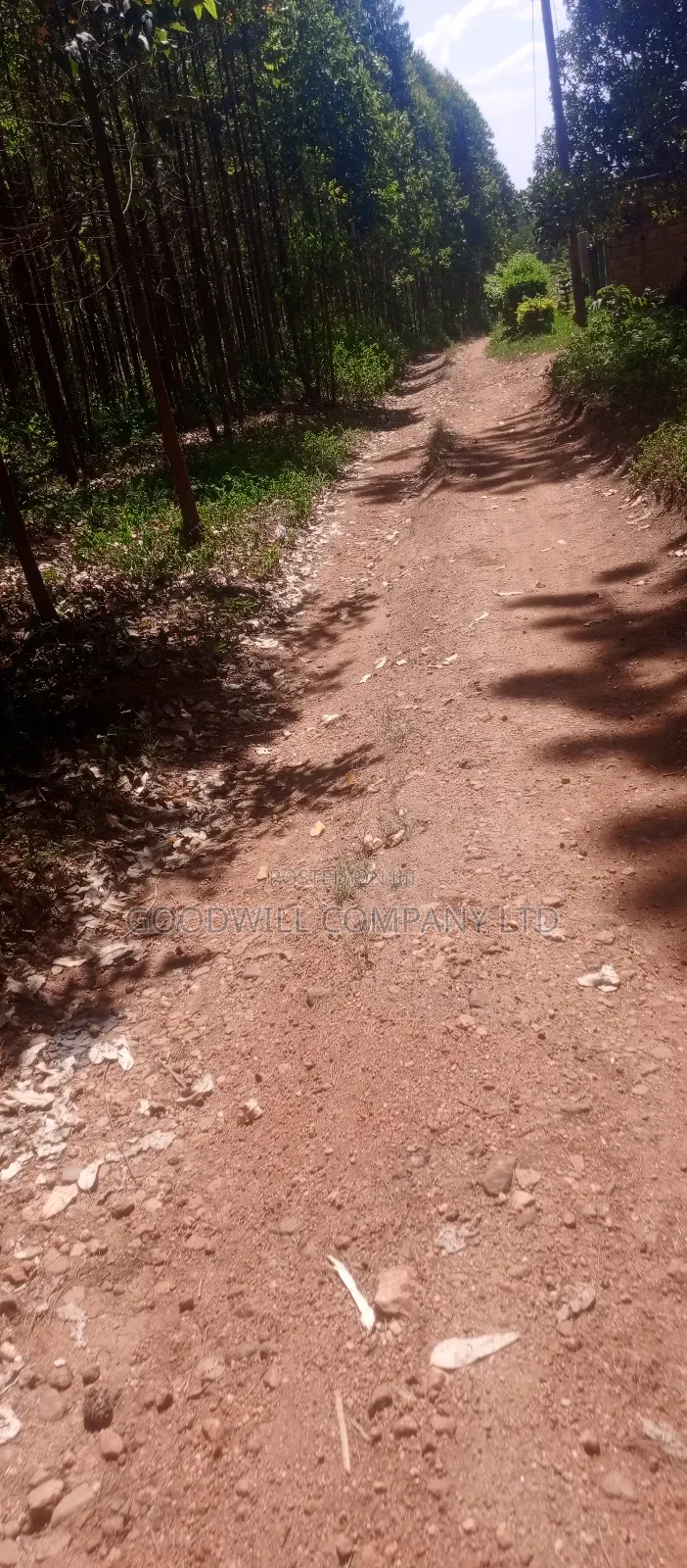 50*100 Plots in Namengo Kyabakade