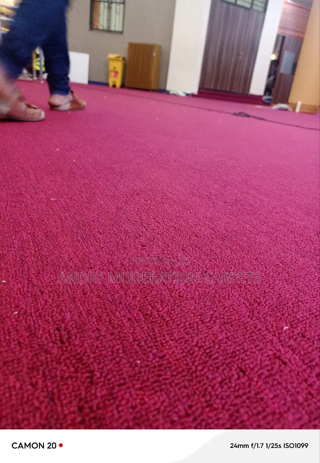 Quality Wall to Wall Woolen Carpets