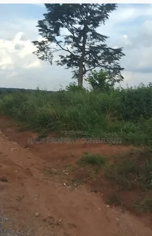 Land on Sale After Kiwoko Town on Main Road