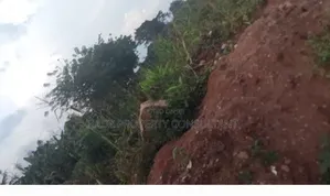 Land on Sale After Kiwoko Town on Main Road