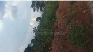 Land on Sale After Kiwoko Town on Main Road