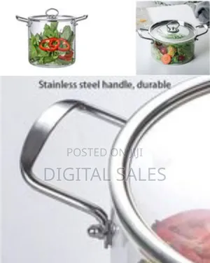 Elegant Clear Glass Stockpot Pot