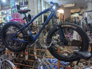 Fat Tyre Bike