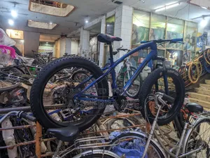 Fat Tyre Bike