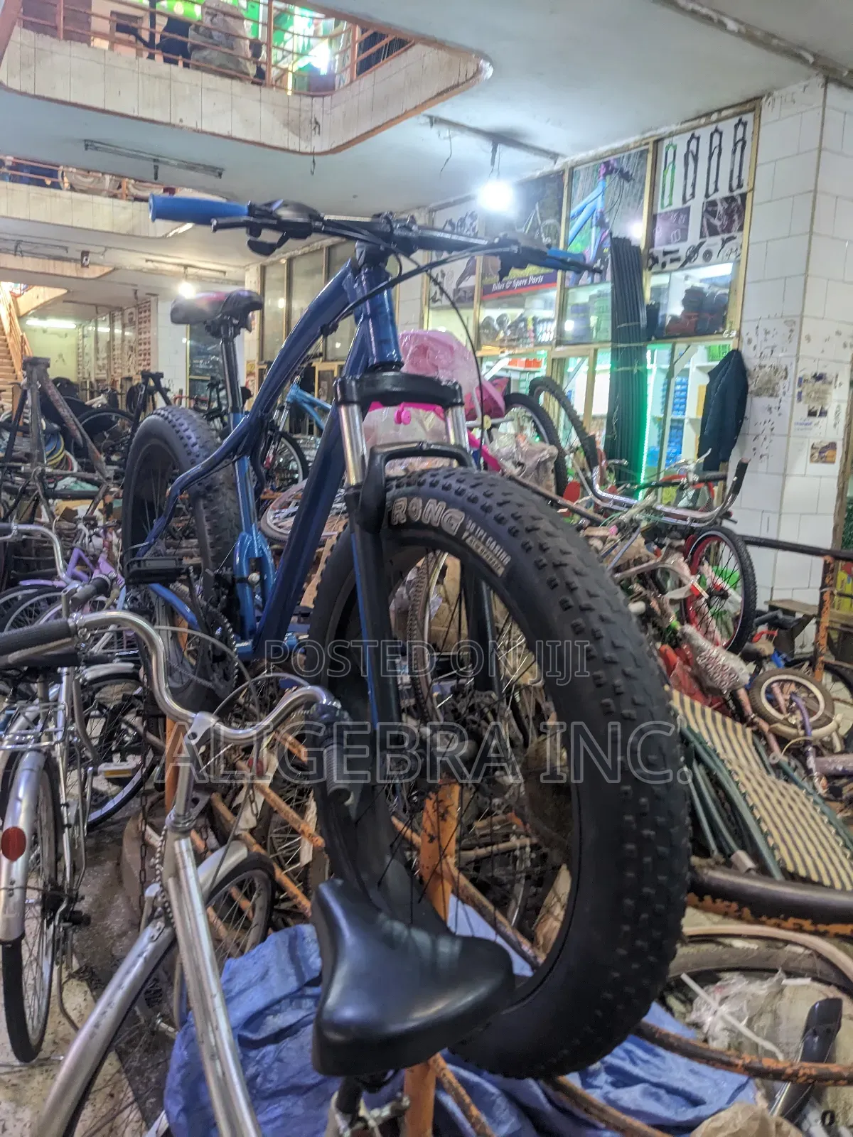 Fat Tyre Bike