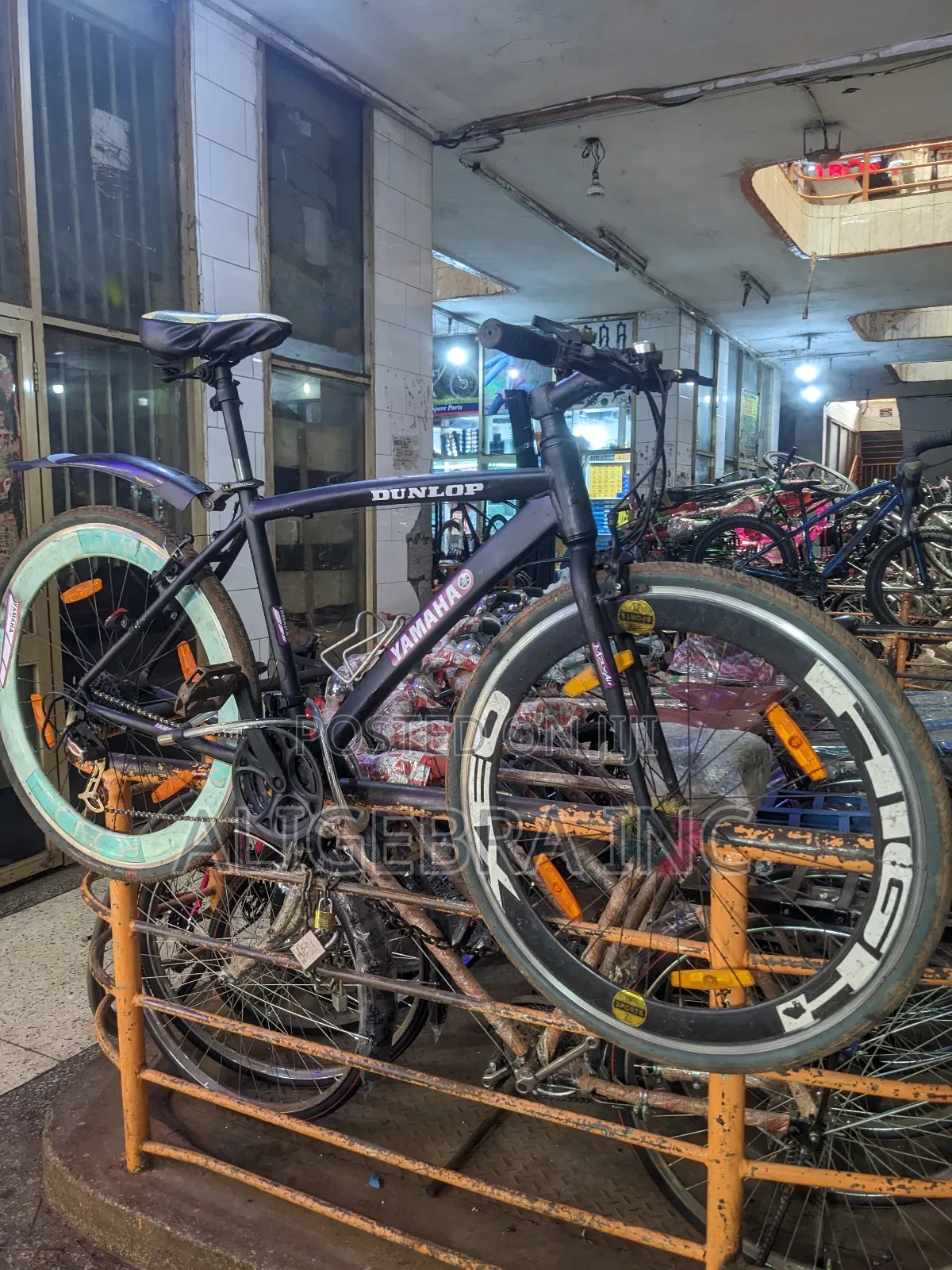 Sport Bikes