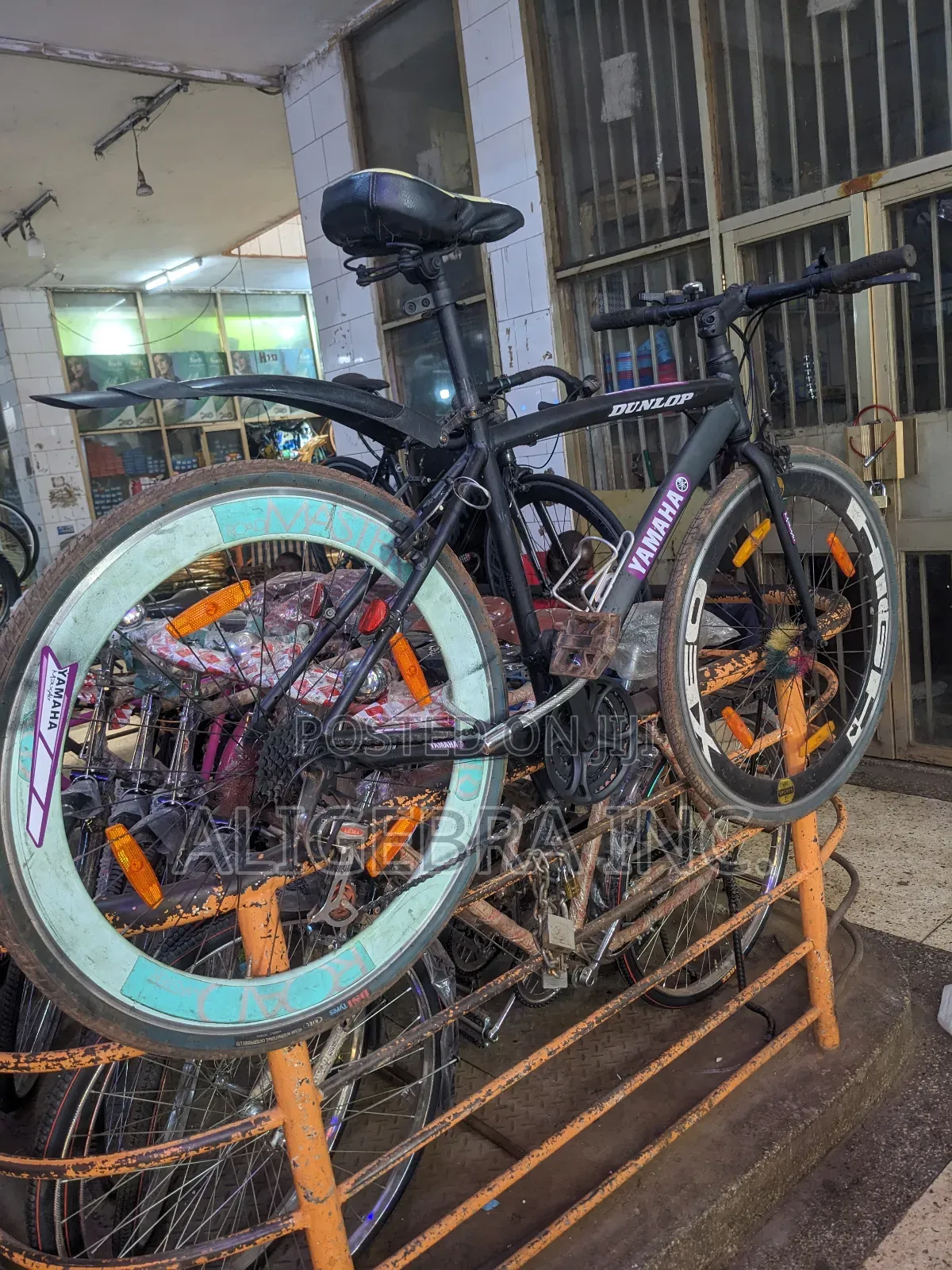 Sport Bikes
