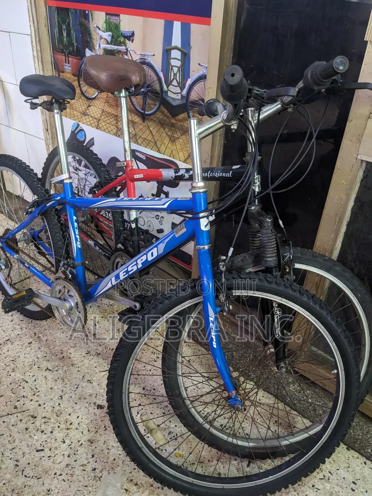 Mountain Bikes for Kids