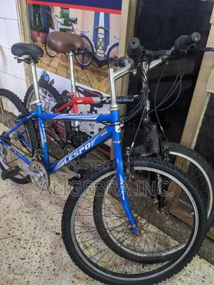 Mountain Bikes for Kids