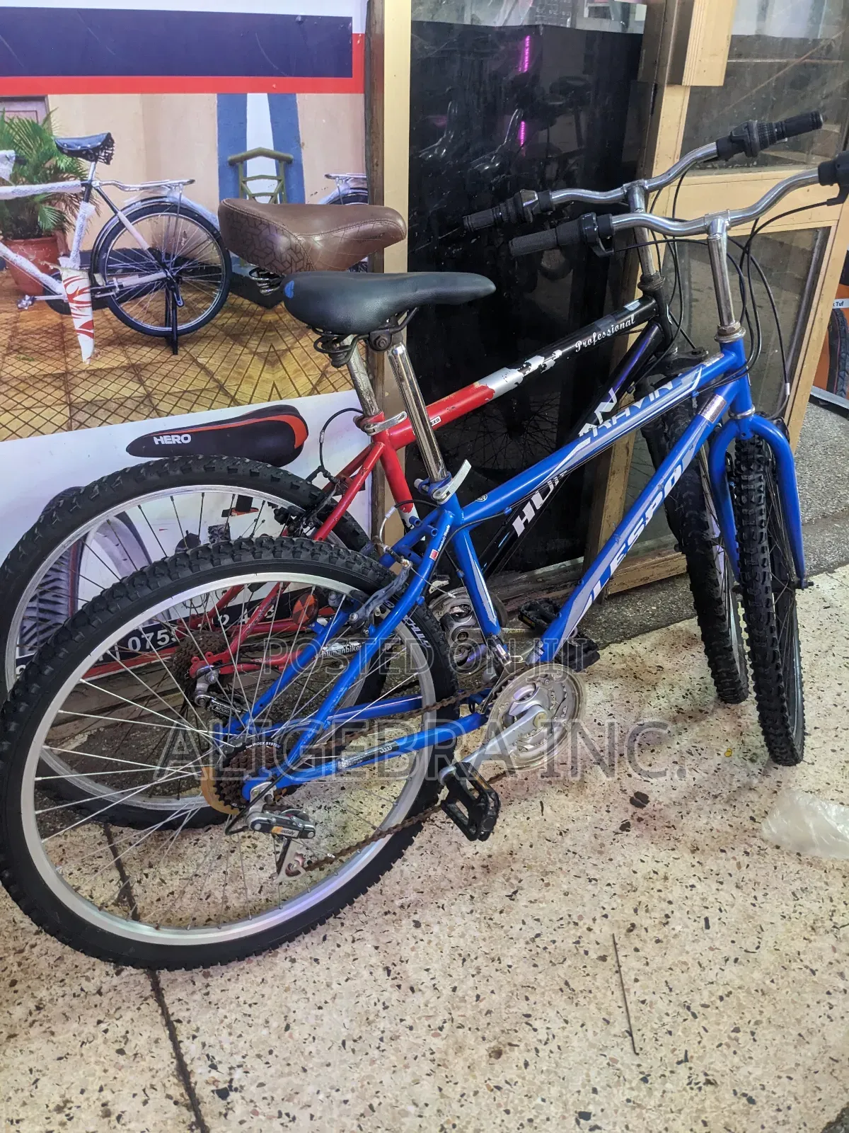 Mountain Bikes for Kids