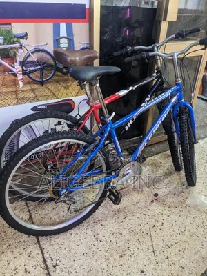 Mountain Bikes for Kids