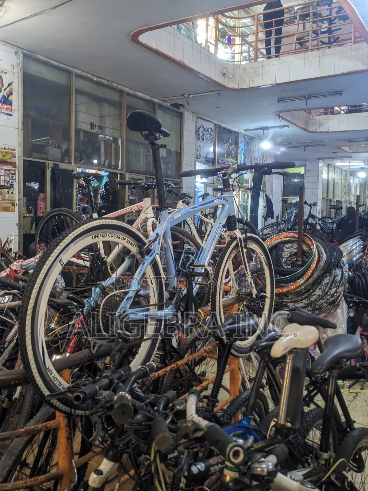 Mountain Bikes