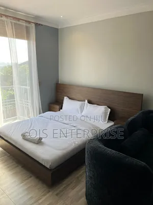 Airbnb Apartment in Kisasi