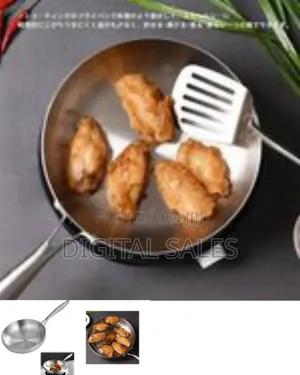 Professional-grade Stainless Steel Frying Pan / Skillet
