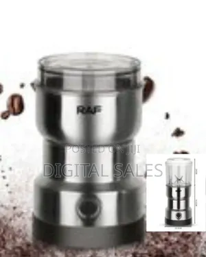 Raf Versatile 2-in-1 Coffee Juice Electric Blender