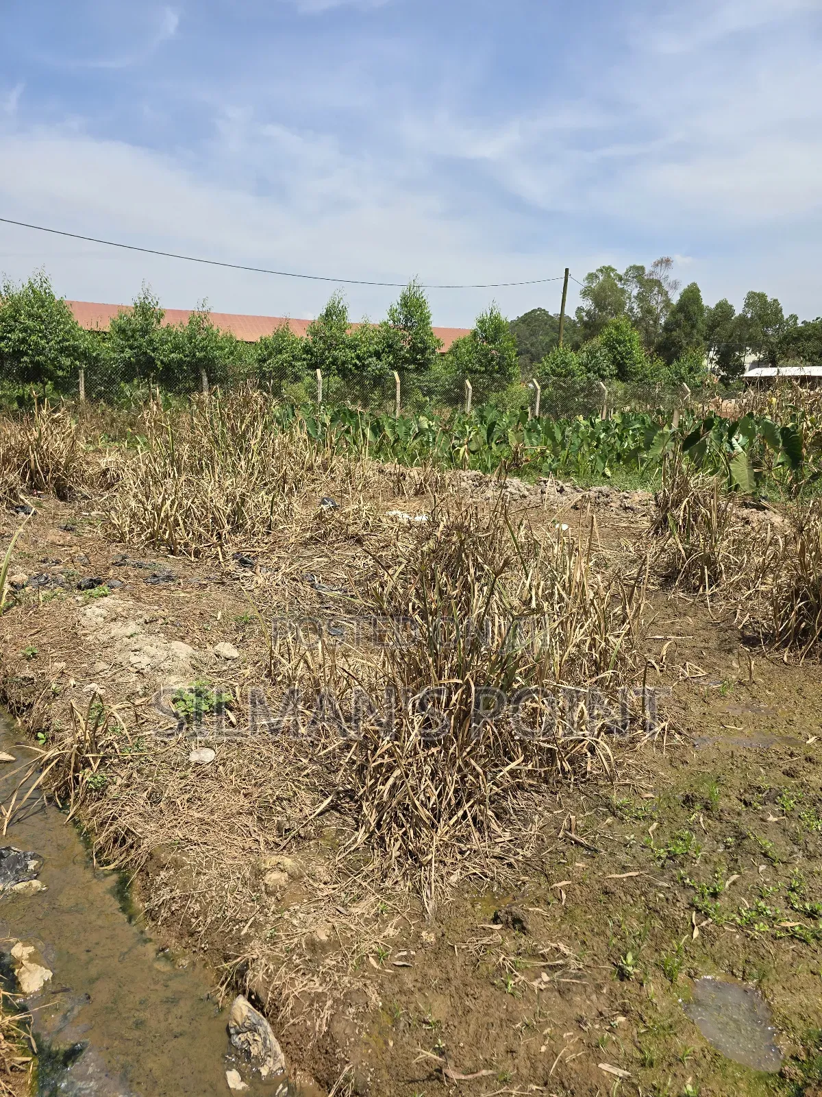50 by 30 Ft Plot for Sale in Kawanda Near Road