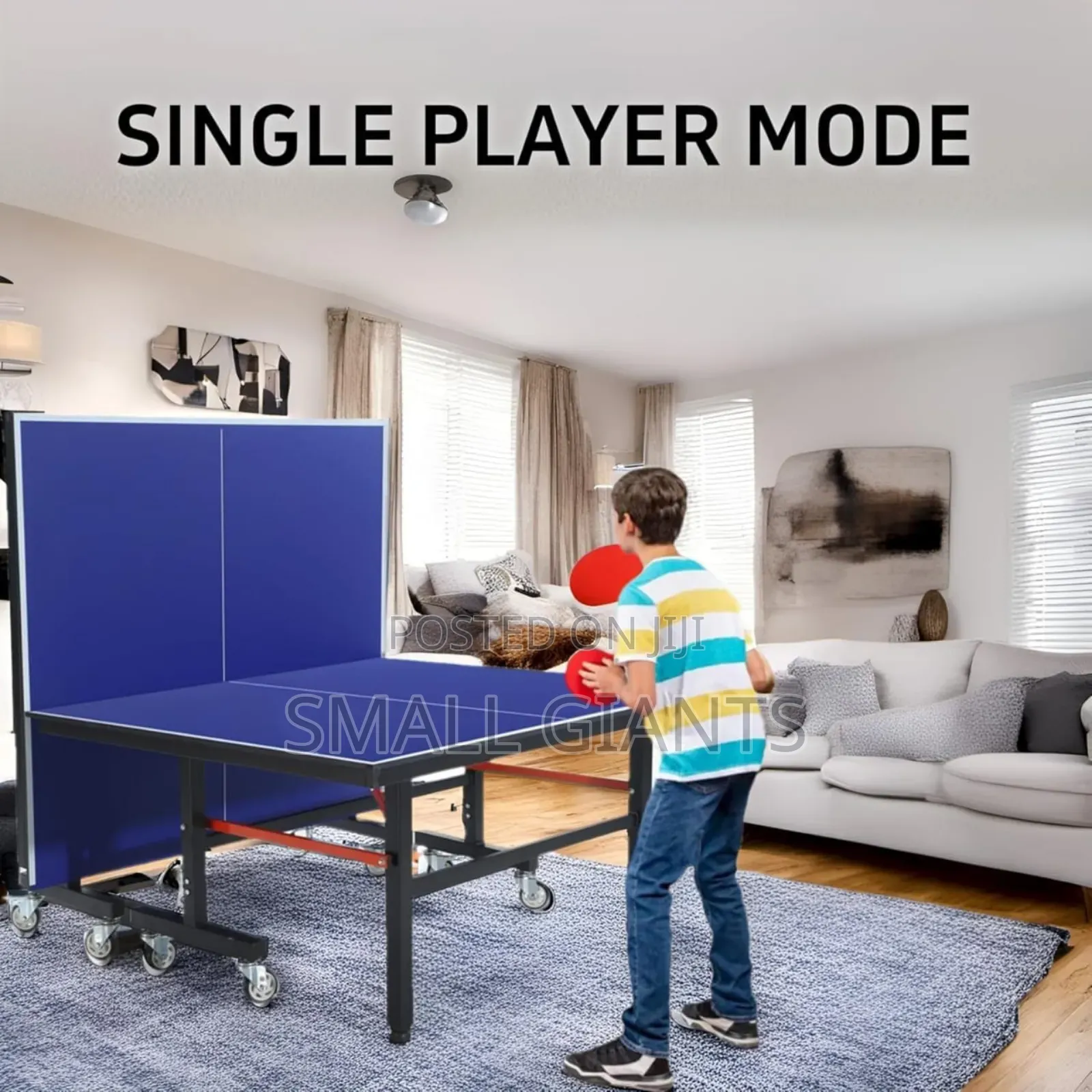 Foldable Tennis Table