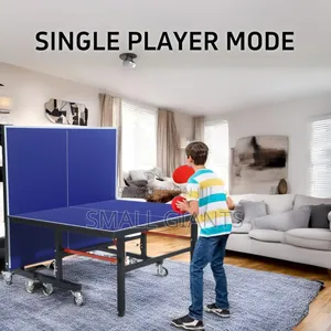 Foldable Tennis Table
