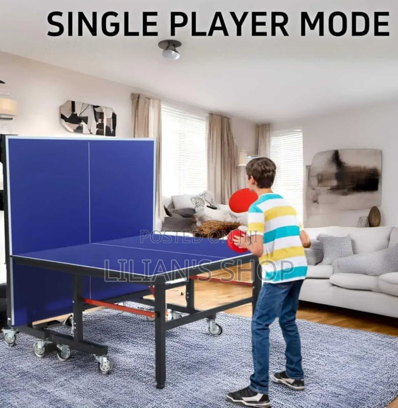 Foldable Tennis Table