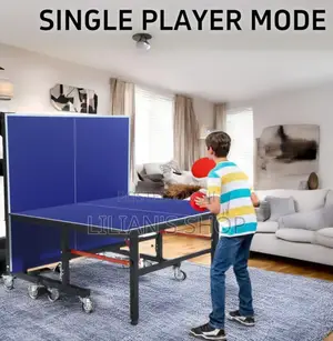 Foldable Tennis Table