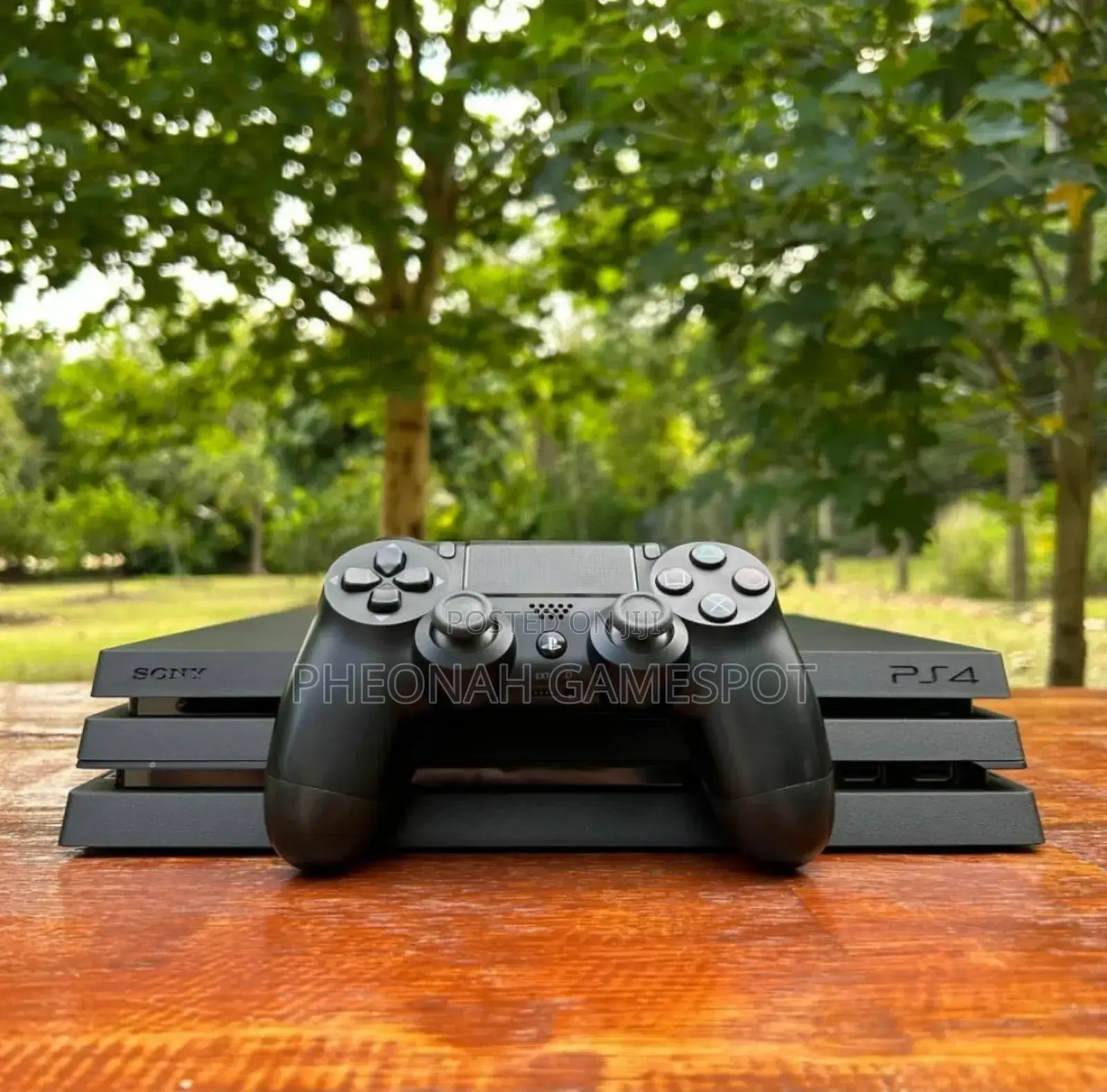 Playstation 4 Pro: 25 Games, 2 Pads. Better Than a Promotion at Office