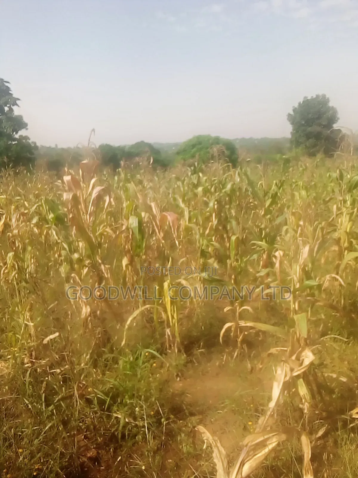 10 Acres of Land in Luwunga Kiwenda Gayaza Road