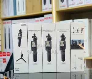 A3170 Screen Casting Selfie Stick
