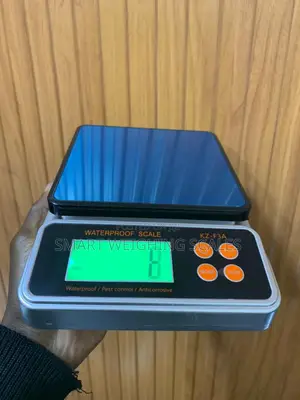 Steel Bakery Weighing Scale for Kitchen 10kg Weighing Scale