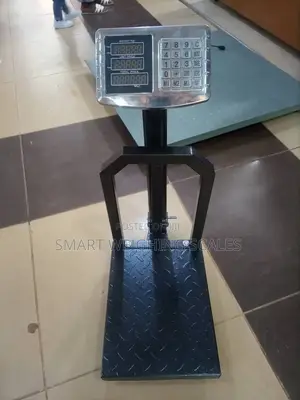 Digital Weighing Scale Agro Produce Weigh Digital Weighing Scale