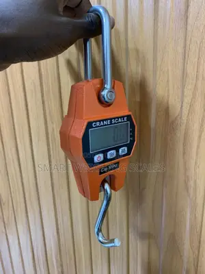 Hanging Weighing Scale 300kg Weigh Digital Hanging Weighing Scale