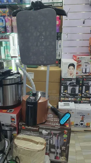 Garment Steamer 2 In 1 Commercial And Home Use