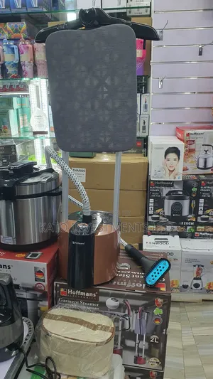 Garment Steamer 2 In 1 Commercial And Home Use